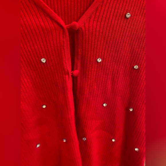 No Boundaries Red Sweater with Embellishments - Picture 5 of 6